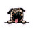 WickedGoodz Smiling Pug Magnet - Pug Dog Magnetic Car Decal