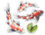 Koi Pond Fish Pretty Set - 8" Vinyl Sticker - for Car Laptop I-Pad - Waterproof Decal