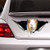 Guinea Pig Sticker, Guinea Pig car Decal, pet Decal, Animal Decal Vinyl Decal Sticker for Cars, Trucks, Windows, Walls, Laptops 11"