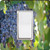 Rikki Knight Red Wine Grapes on The Vine Single Rocker Light Switch Plate