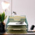 5 Compartment Metal Mesh Desk Top File Organizer (Green)