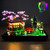 LocoLee RC LED Light Kit for Lego Tranquil Garden 10315 Zen Garden, Remote Control DIY Lighting Set Compatible with Lego Japanese Architecture 10315 Building Set (Lights Only, No Models)