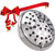Vida Alegría 5-Inch SIMPLICITY Chrome Shower Head, 2.5 gpm, 3 Sprays