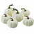 White Pumpkins 6PCS Realistic Fall Harvest Small Off White Mini Artificial Pumpkins for Halloween, Fall and Thanksgiving Decorating