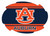 Auburn Tigers Stripe Design Swirl Magnet-Auburn University Magnet-New for 2016!