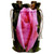3dRose Patricia Sanders Flowers - Pretty Pink Rose Floral - Wine Bag (wbg_25690_1)