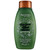 Aveeno Conditioner Fresh Greens Blend 12 Ounce (Thicken) (354ml) (3 Pack)