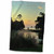 3dRose Florene Tropic Sunset - Sunset Over Sarasota Landmark - Towels (twl-38139-1)