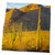 3dRose USA, Arizona, Tucson. Desert Sunset in Saguaro National Park. - Towels (twl-190986-3)