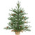Vickerman Unlit Carmel Pine Artificial Christmas Tree with Pine Cones and Burlap Base, 18"