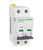 Davitu Cables, Adapters & Sockets - IC65N small circuit breaker B curve 2P 32A A9F17232