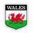 Squiddy Wales Welsh Flag Shield - Vinyl Sticker Decal for Phone, Laptop, Water Bottle (3" high)