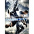 The Divergent Series