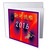 3dRose Florene - Holiday Graphic - Image of Happy 2016 Chinese New Year On Red And Purple - 1 Greeting Card with envelope (gc_223476_5)