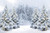 Eainb 5x3ft Winter Scenery Backdrop Glitter Snow Pine Tree Forest Landscape Photography Background Snowy Wonderland Christmas Party Decoration Banner Photo Props
