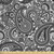 Ambesonne Paisley Fabric by The Yard, Oriental Themed Pattern with Traditional Elements Lace Like Design, Microfiber Fabric for Arts and Crafts Textiles & Decor, 1 Yard, White Charcoal