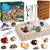 FUN LITTLE TOYS 20PCS Real Fossils & Gemstone Dig Kit for Kids 3-15, Excavation Kit for Archaeology Enthusiasts, Educational Toy Set, Gem Digging, Fossil Exploration, and Rock Identification Fun