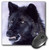 3dRose LLC 8 X 8 X 0.25 Inches Black Timber Wolf Snarling, Canus Lupus David Northcott Mouse Pad (mp_83896_1)