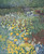 Susan Entwistle Art Cambo Gardens Floral Limited Edition Paper Print, 50 cm x 60 cm, Cotton, Multi-Colour, 70 x 60 x 0.2 cm