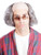 Enigma Wigs Men's Old Man, Mixed Grey, One Size