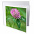 3dRose Danita Delimont - Flower - Washington State. Red Clover - Greeting Cards (gc-368583-1)