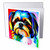 3dRose Amazing Shih Tzu dog portrait against the red, pink, blue... - Greeting Cards (gc-378636-1)
