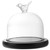 COOPHYA Preserved Flower Dust Cover Food Serving Cover Cake Stands Cake Display Dome Cheese Cloche Dome Clear Glass Dome Comida De Glass Display Dome Glass Cover Bell Shaped
