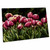 3dRose A Cluster of red and White Tulips with Yellow and Green... - Desk Pad Place Mats (dpd-227742-1)