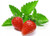 100+ ORGANICALLY Grown Strawberry Mint Seeds Heirloom Non-GMO Fragrant Rare! Fragrant, US Grown!