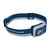 BLACK DIAMOND Equipment Cosmo 350 Headlamp - Creek Blue