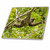 3dRose Brown Throated Sloth, Costa Rica, Central America 1. - Tiles (ct-380590-6)