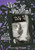 Alice in Wonderland [DVD]