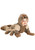 Infant Brown Spider Costume 0/3 Months