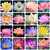 35+ Mixed Bowl Lotus Seeds, Lotus Seeds, Bonsai Lotus Seeds for Planting, Water Lily Seeds, Can Purify Water and Air