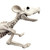 EMUKOEP Halloween Animal Skeleton Bones Horror Simulation Skeleton Halloween Party Decoration (b)