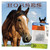 2024 Horses Mini Wall Calendar & Push Pins