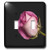3dRose LSP_59791_2 Pink Rose with Dew On Black Double Toggle Switch