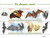 Central Africa - 2022 Bats, Common Vampire Bat - 4 Stamp Sheet - CA220605a