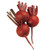 Burpee Red Ball Beet Seeds 350 seeds