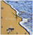 3dRose DPP_214442_2 Print of Beach Shore with Enjoy & Flip Flops Wall Clock, 13 by 13"