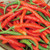 Burpee Long Red Slim Cayenne Hot Pepper Seeds 100 seeds