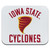 Iowa State University Secondary Low Profile Thin Mouse Pad Mousepad