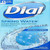 Dial Antibacterial Bar Soap, Refresh & Renew, Spring Water, 4 oz, 8 Bars