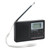 Zyyini AM FM SW Radio, Small Portable Radio FM AM SW All Band Receiver Radios,Digital Radio AM FM with Earphone, for Parents Elderly