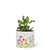 Abbott Collection Home Small Bee Garden Planter