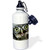 3dRose Little owl , Athena noctua, Aragon Spain Europe - Sports Water Bottle, 21 oz, White