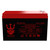 Neptune 12V 7.2AH SLA Battery Replacement for APC Back-UPS 550 BE550G