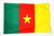 AZ FLAG Cameroon Flag 2' x 3' - Cameroonian Flags 60 x 90 cm - Banner 2x3 ft