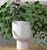 Ceramic 8 Inch Tall Head Planter Pot. Self Watering Face Planter Pot w Removable Inner Pot. White Face Vase Planter Head Flower Pot. Use as Head Vase or Matte White Ceramic Planter. Large 6 Inch Wide