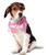 Rubies Costume Pink Jester Collar Dog Costume
